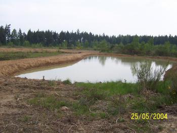 Landkreis Greiz,
Errichtung von Teichanlagen auf dem ehem. Truppenübungsplatz in Neuärgerniß